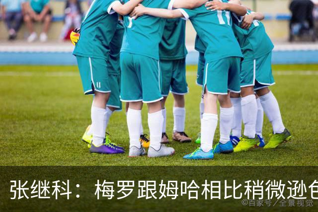 张继科：梅罗跟姆哈相比稍微逊色一点，没逊色在技术，逊色在体能
