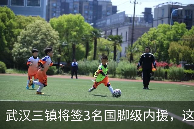 武汉三镇将签3名国脚级内援，这是真的吗？