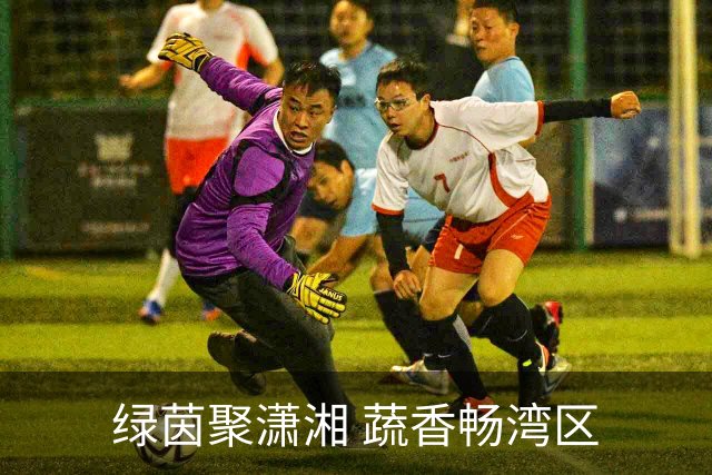 绿茵聚潇湘 蔬香畅湾区