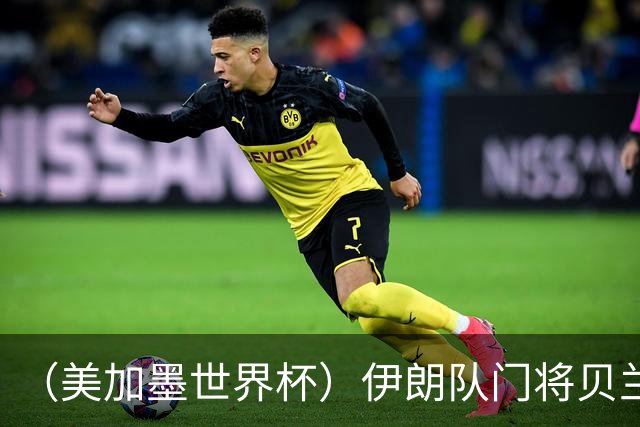 （美加墨世界杯）伊朗队门将贝兰万德的“满分”